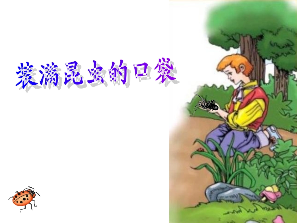 装满昆虫的口袋_第1页