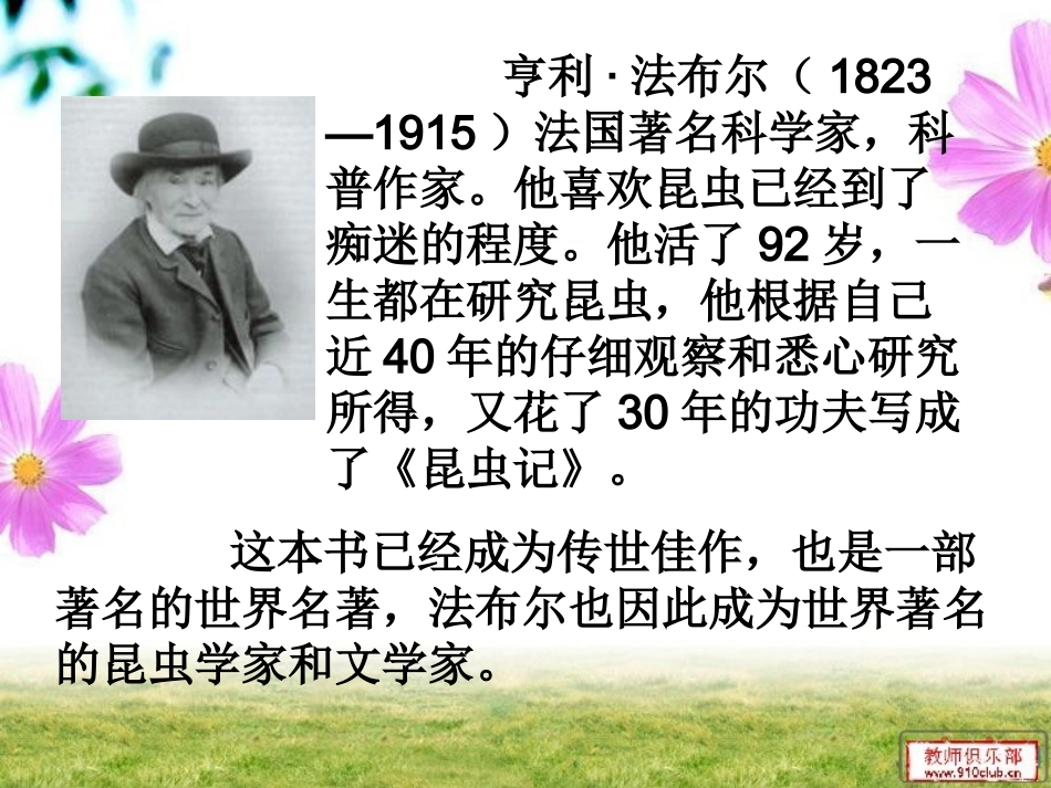 装满昆虫的口袋_第3页