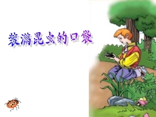 装满昆虫的口袋