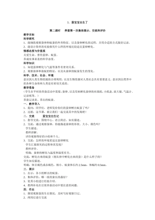 蚕宝宝出生了