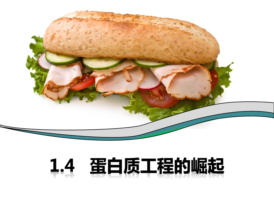 蛋白质工程的崛起_第2页