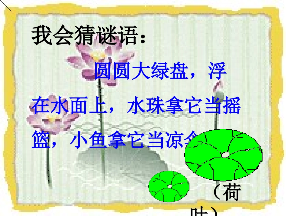 荷叶圆圆课件 (2)_第2页
