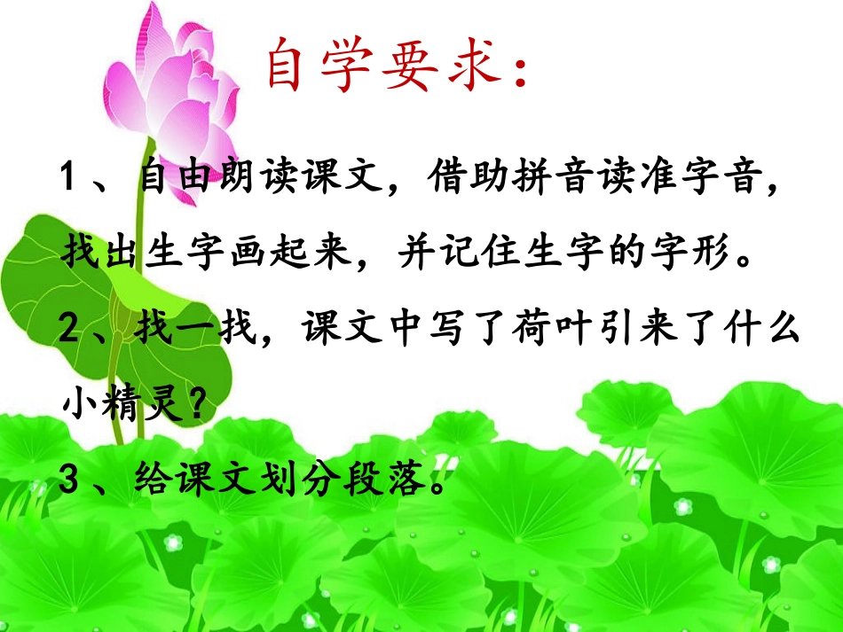 荷叶圆圆课件 (2)_第3页