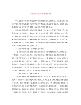 审计部年度工作计划计划