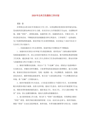 2020年公共卫生服务工作计划