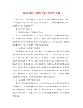 2020年审计员的工作计划范文5篇