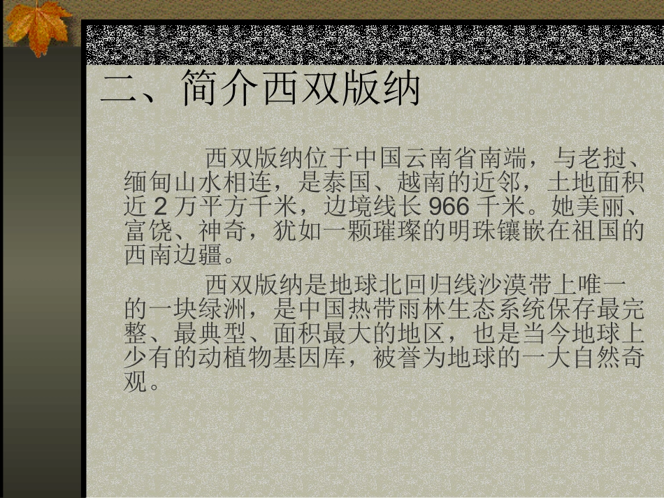 苏教版八年级(上)《美丽的西双版纳》课件4_第3页