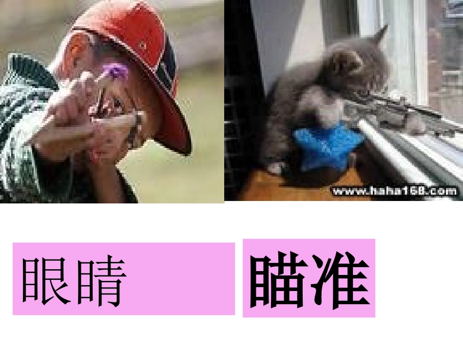 苏教版二年级语文下册识字4课件 (2)_第3页