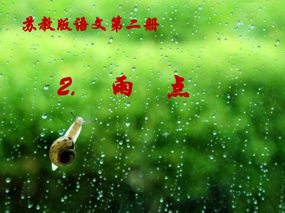 苏教版一下《雨点》_第1页