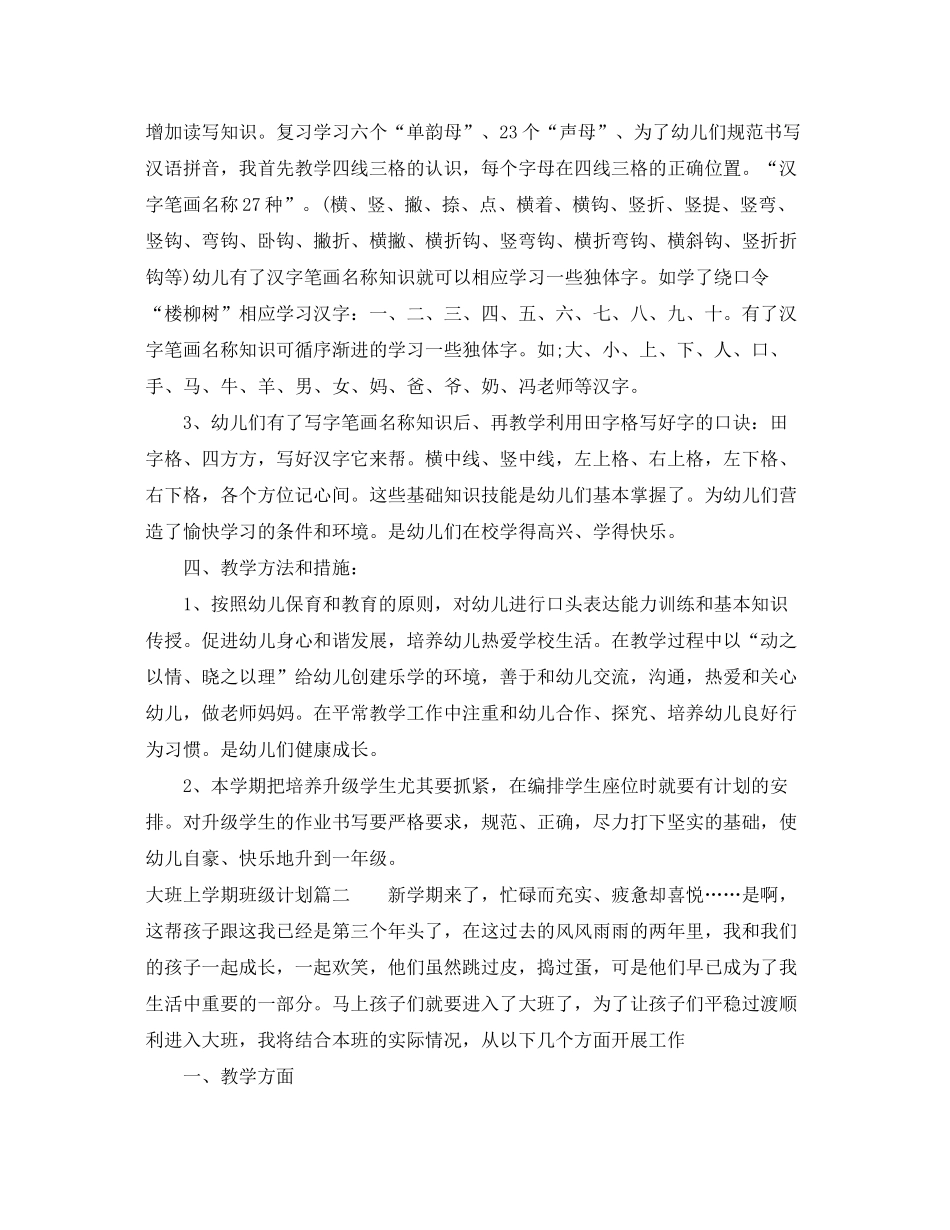 2020年大班上学期个人班级计划_第2页