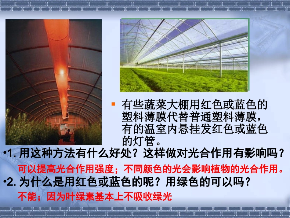 能量之源光与光合作用共张PPT_第3页