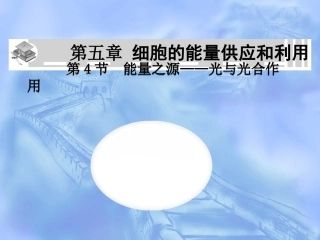 能量之源光与光合作用共张PPT