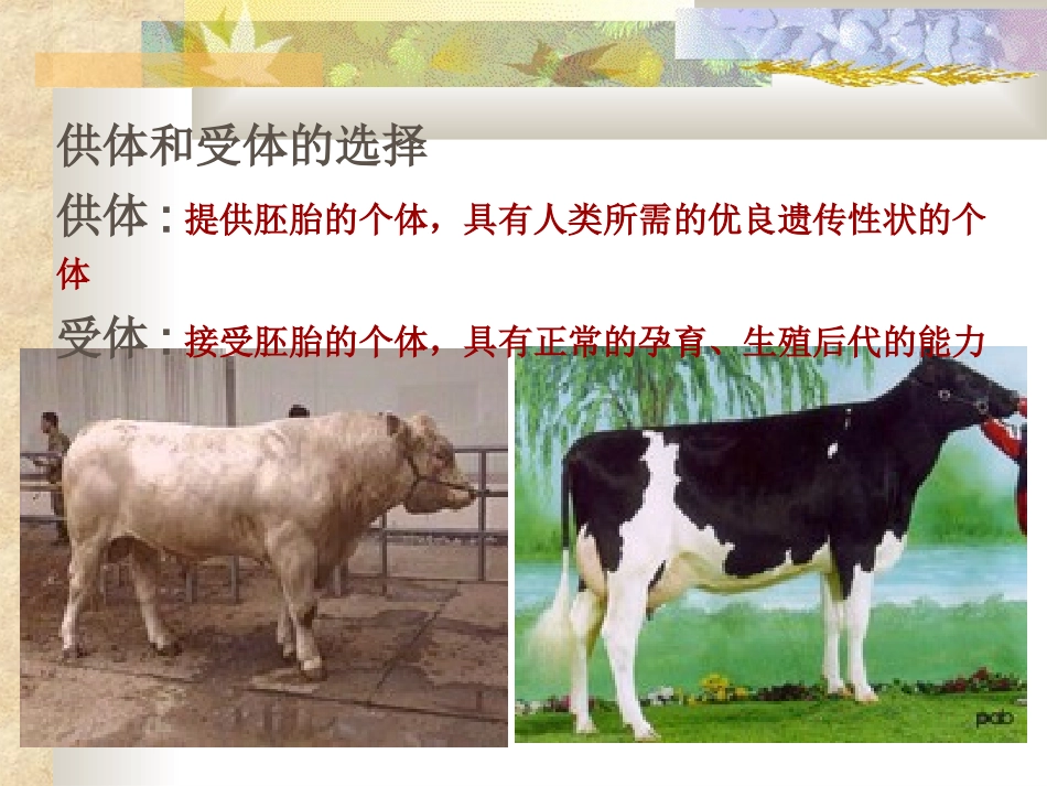 胚胎工程及应用前景_第3页