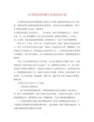 公司财务试用期工作总结及计划