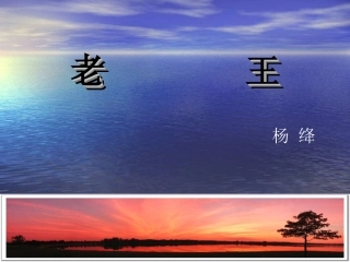 老王(公开课)