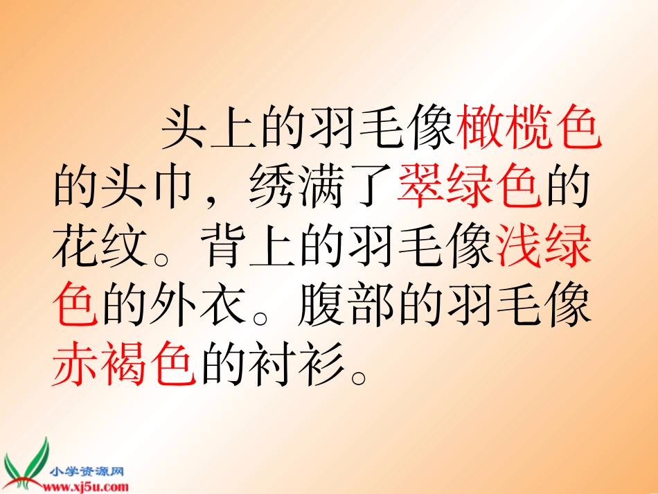翠鸟课件 (2)_第2页