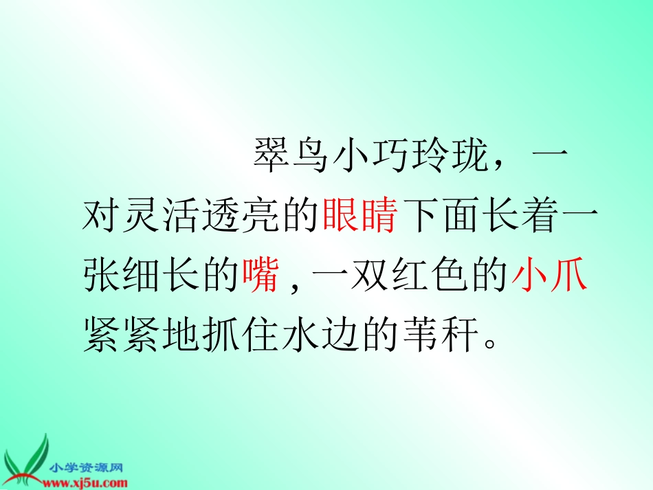 翠鸟课件 (2)_第3页