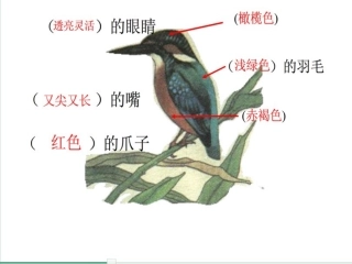 翠鸟第二课时