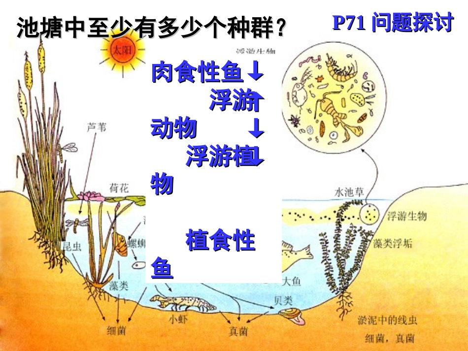 群落的结构蒋客湘_第2页