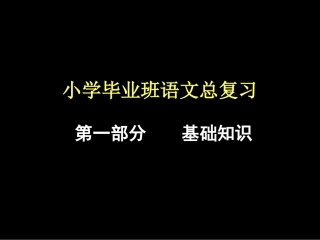 综合小学毕业班语文总复习