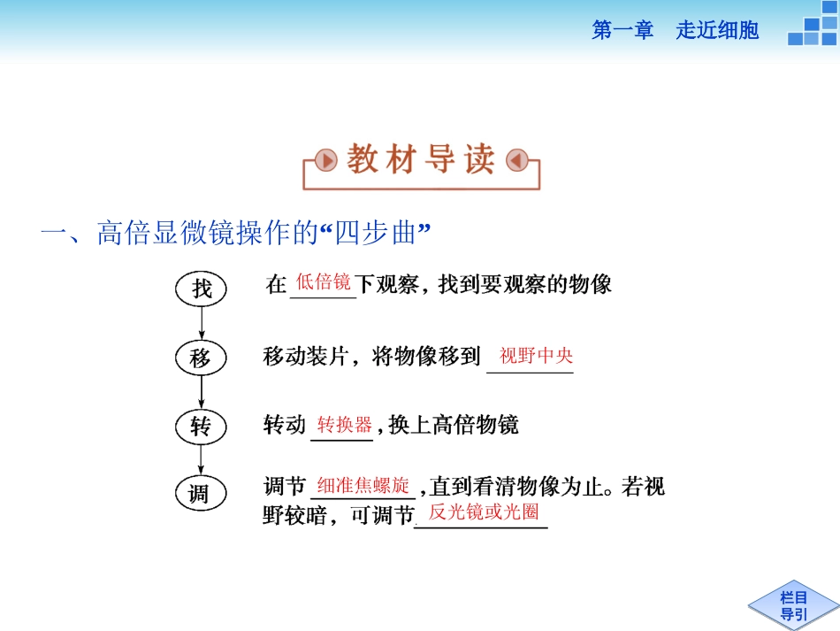 细胞的多样性和统一性 _第3页