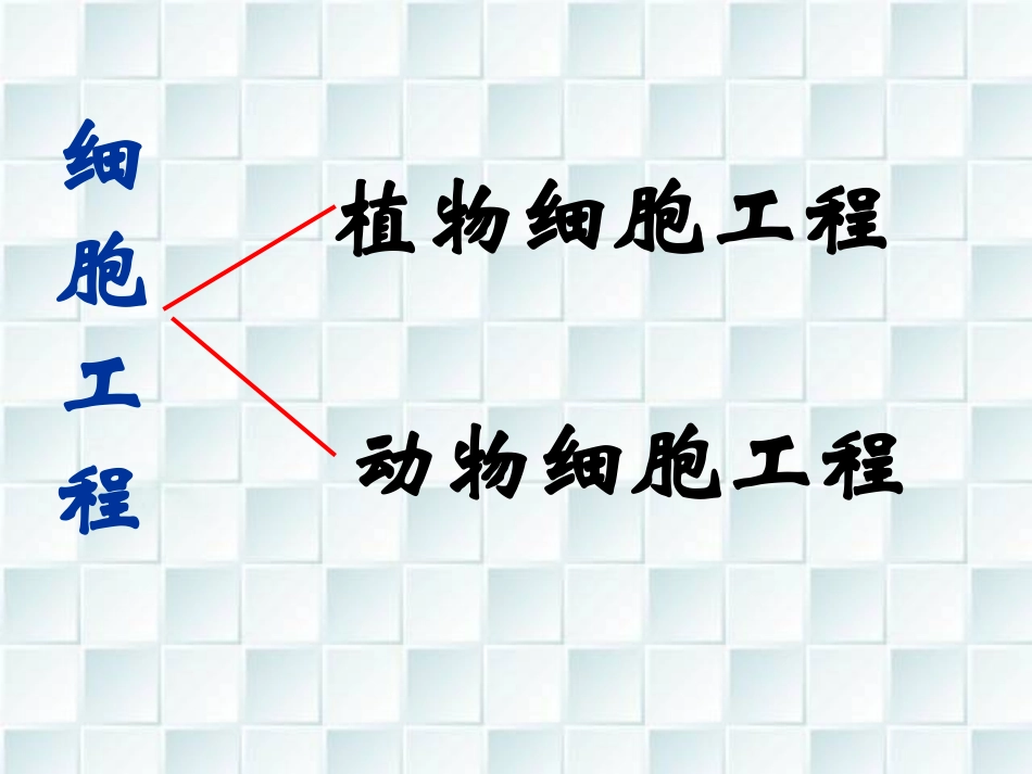 细胞工程竞赛课件演示文稿_第3页