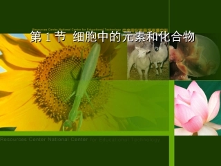 细胞中的元素和化合物 (2)