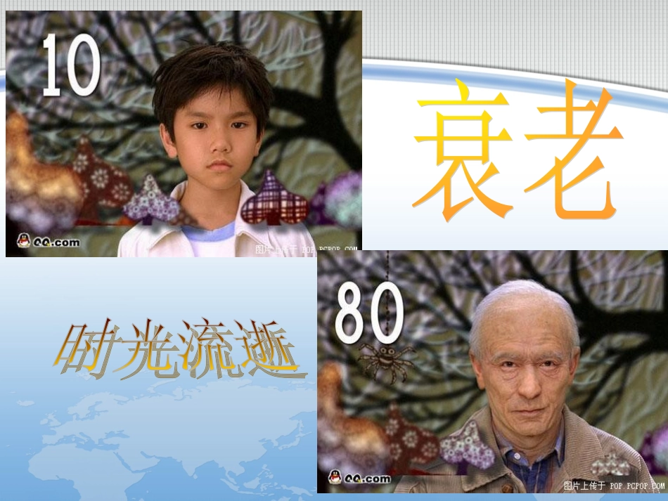 细胞的衰老凋亡_第2页