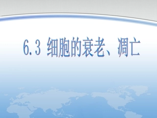 细胞的衰老凋亡