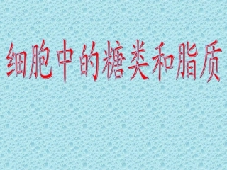 细胞中的糖类和脂质课件人教版必修