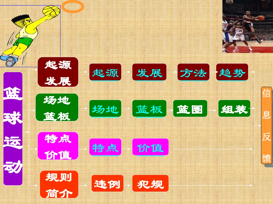 篮球基础知识_第3页