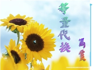 等量代换课件