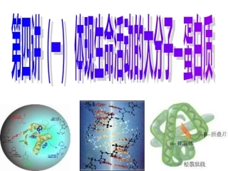 第四讲（一）体现生命活动的大分子--蛋白质