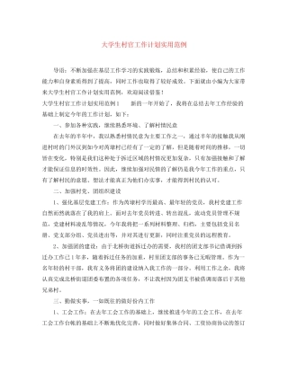 大学生村官工作计划实用范例