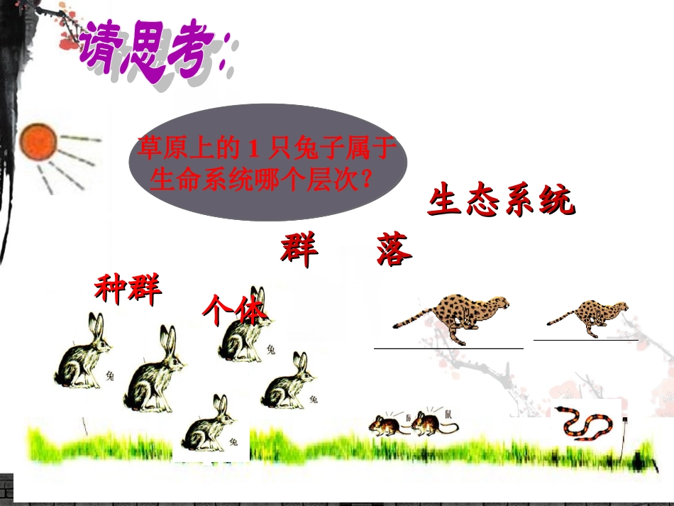 第节生态系统的结构_第1页