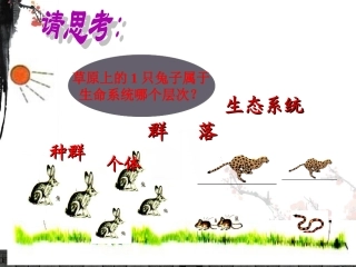 第节生态系统的结构