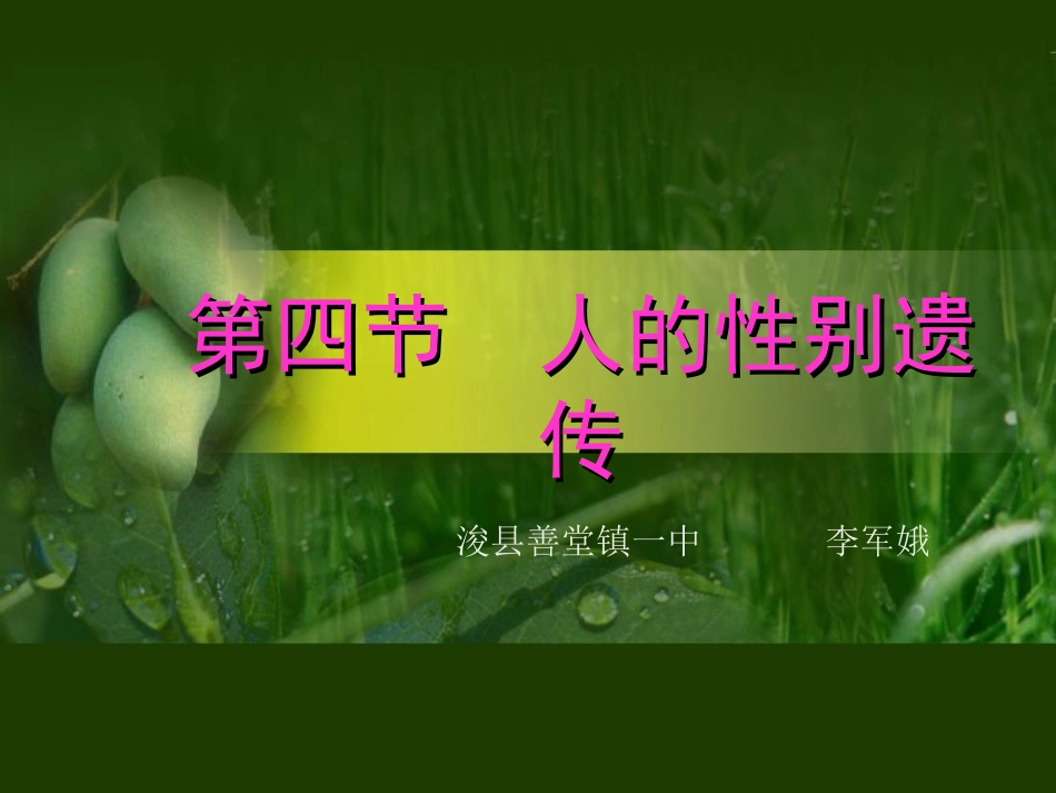 第四节《人的性别遗传》课件_第1页