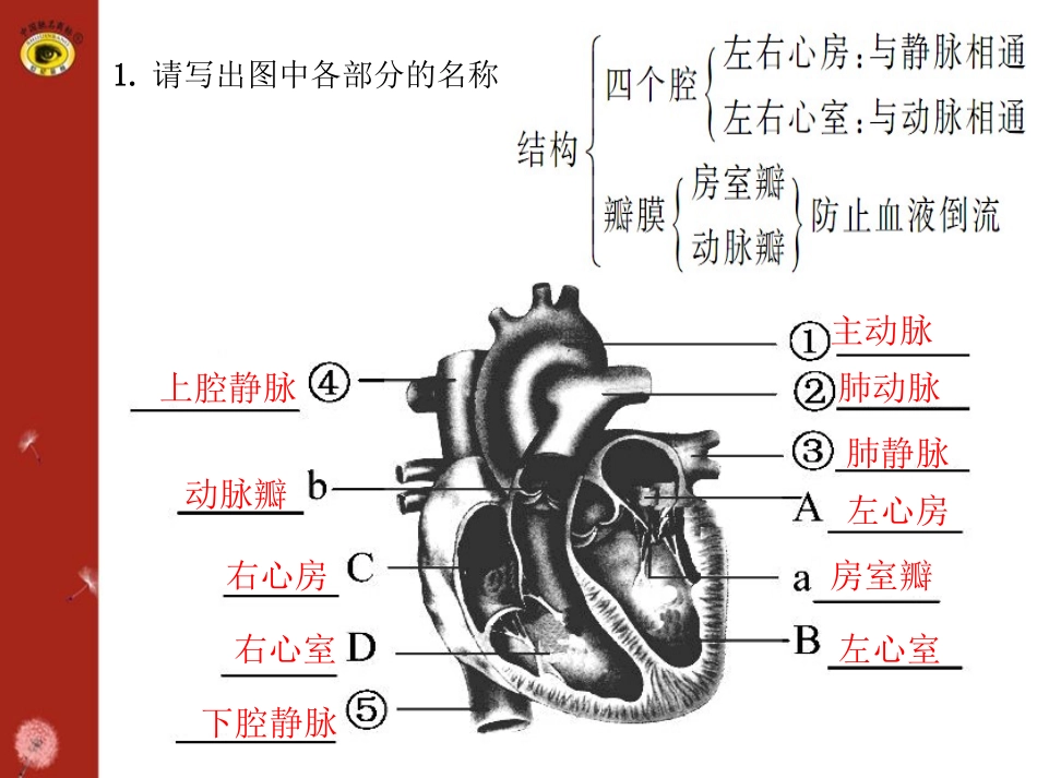 第十四讲人体内物质的运输(二)_第2页