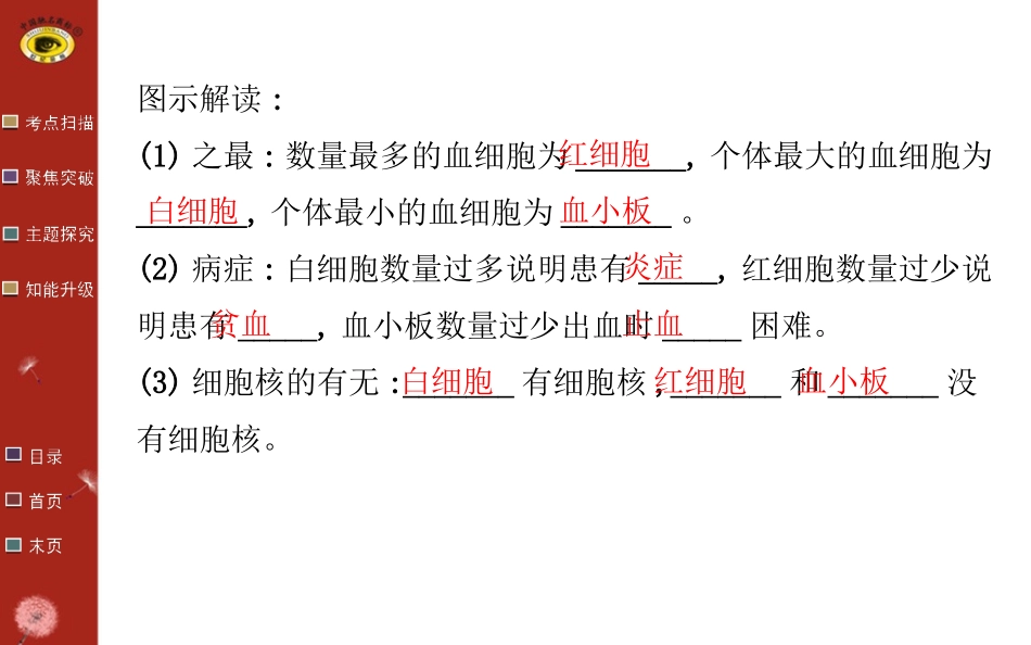 第十四讲人体内物质的运输(一)_第3页