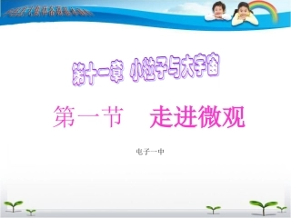 第十一章第一节走进微观（1）