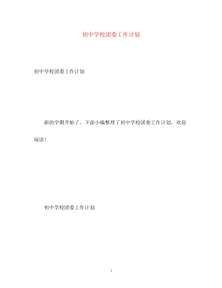 初校团委工作计划