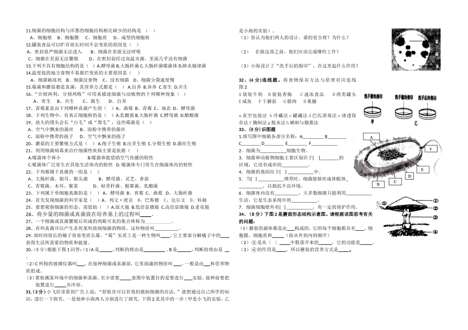 第五单元第四章细菌和真菌复习学案_第2页