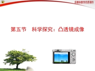 第五节科学探究：凸透镜成像