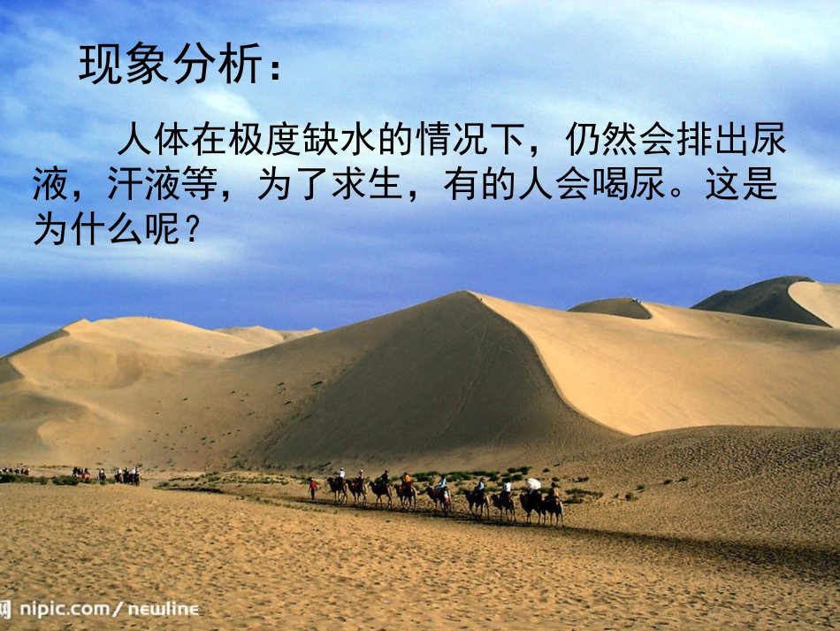 第五章人体内废物的排出_第2页