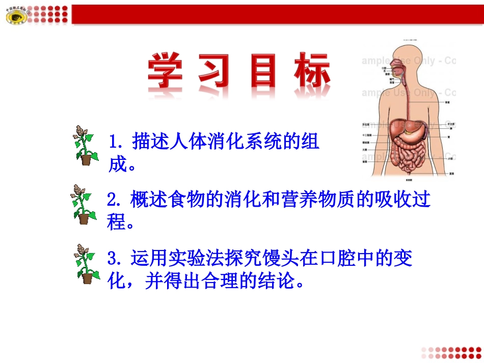 第二节消化和吸收_第3页