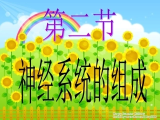 第二节_神经系统的组成
