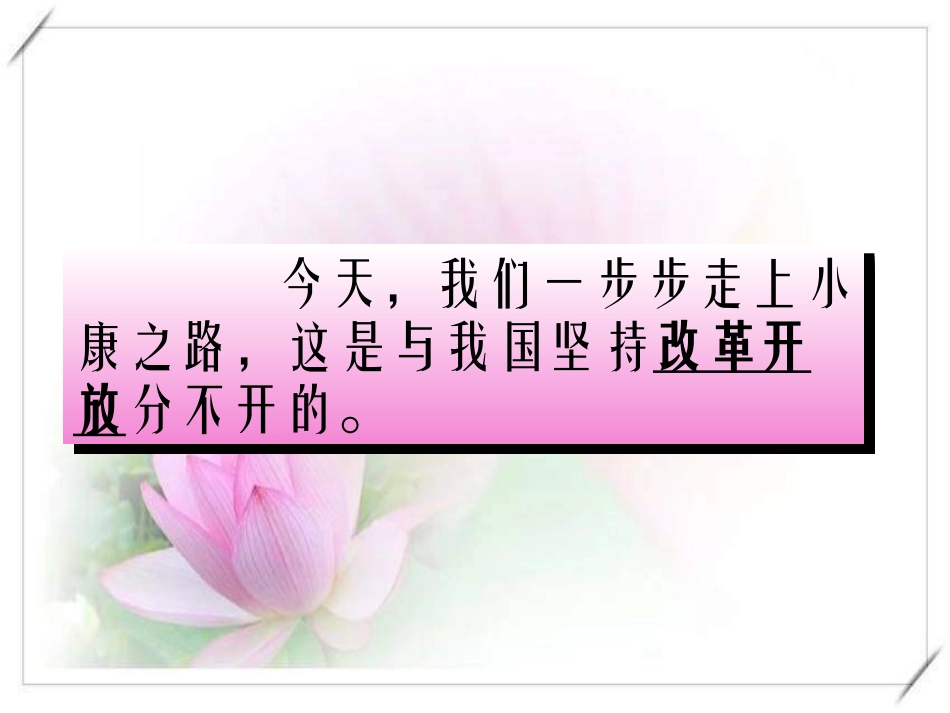 第二单元第二节改革开放富起来_第3页