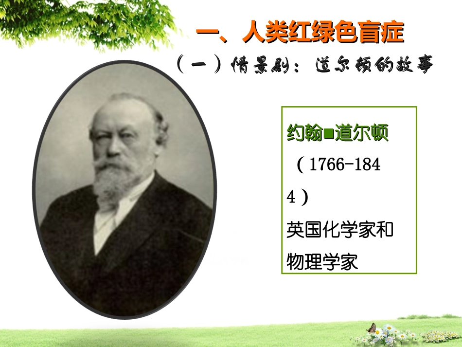 第二章第3节伴性遗传_第3页