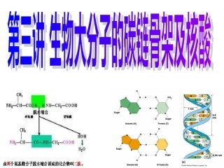 第三讲生物大分子的碳链骨架及核酸