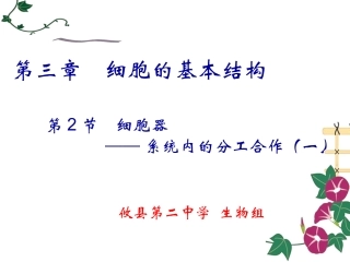 第三章第二节细胞器一(1)